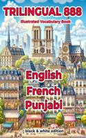 Trilingual 888 English French Punjabi Illustrated Vocabulary Book