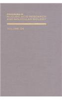 Prog Nucleic Acid Res&molecular Bio V24