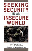 Seeking Security in an Insecure World