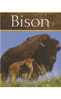 PE USA Chatterbox Fl: Bison