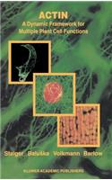 Actin: A Dynamic Framework for Multiple Plant Cell Functions