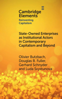 State-Owned Enterprises as Institutional Actors in Contemporary Capitalism and Beyond