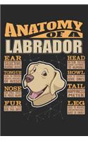 Anatomy Of A Labrador: Anatomy Of A Labrador Retriever Notebook Journal 6x9 Personalized Customized Gift For Labrador Retriever Mom Dad Lined Paper