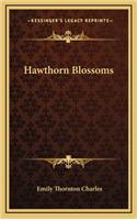 Hawthorn Blossoms