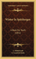 Winter In Spitzbergen