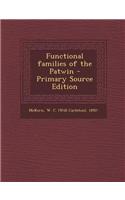 Functional Families of the Patwin - Primary Source Edition