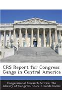 Crs Report for Congress: Gangs in Central America