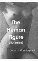 The Human Figure