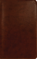 ESV New Testament with Psalms and Proverbs