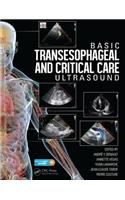 Basic Transesophageal and Critical Care Ultrasound