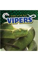 Vipers