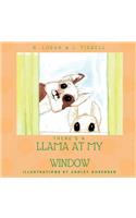 There's a Llama at my Window