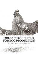 Breeding Chickens For Egg Production