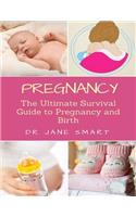 Pregnancy: The Ultimate Guide to Pregnancy and Birth