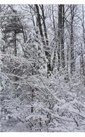 After Snowstorm Winter Weather Journal