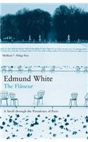 The Flaneur: A Stroll Through the Paradoxes of Paris: A Stroll Through the Paradoxes of Paris