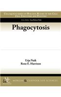 Phagocytosis