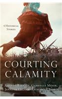 Courting Calamity