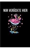Flamingo Nur Verrückte Hier