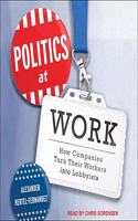 Politics at Work Lib/E