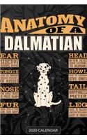 Anatomy Of A Dalmatian: Dalmatian 2020 Calendar - Customized Gift For Dalmatian Dog Owner