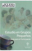 Peacemaking Church Participant Spanish