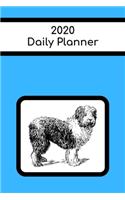 2020 Daily Planner