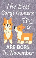 The Best Corgi Owners Are Born In November