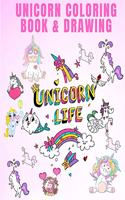 How to Draw Unicorns
