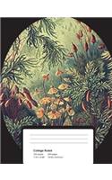 College Ruled Composition Notebook: Forest Composition Notebook 100 Lined Pages
