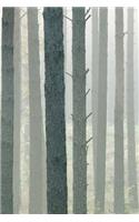 Tree Trunk Journal: Lined Undated Memory Journaling Notebook
