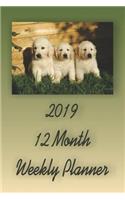 2019 12 Month Weekly Planner: 1 Year Daily/Weekly/Monthly Planner, January 2019-December 2019, Golden Retriever Dog Puppies Cover
