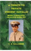 Tribute to Private Vincent Cavallo