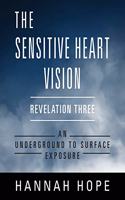 Sensitive Heart Vision