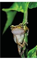 Tree Frog Notebook