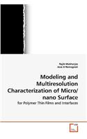 Modeling and Multiresolution Characterization of Micro/nano Surface