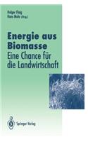 Energie Aus Biomasse