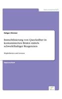 Immobilisierung von Quecksilber in kontaminierten Böden mittels schwefelhaltiger Reagenzien: Möglichkeiten und Grenzen(German)