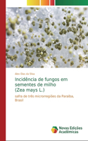 Incidência de fungos em sementes de milho (Zea mays L.)