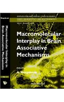Macromolecular Interplay in Brain Associative Mechanisms