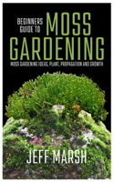 Beginners Guide To Moss Gardening