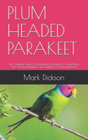 Plum Headed Parakeet