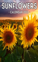 Sunflowers Calendar 2022: 16-Month Calendar, Cute Gift Idea For Sunflowers Lovers Men And Women