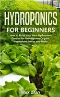 Hydroponics for Beginners