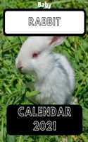 Baby Rabbit Calendar 2021