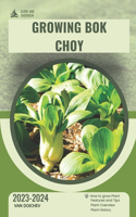 Growing Bok Choy: Guide and overview