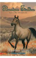 Phantom Stallion #13: Heartbreak Bronco