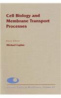 Cell Biology and Membrane Transport Processes