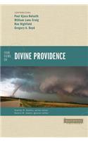 Four Views on Divine Providence