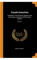 Female Quixotism
